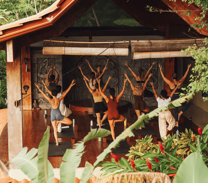 Wild van Nature Retreat – Angela Boltz