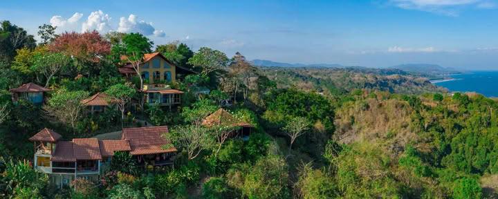 Wild van Nature Retreat – Angela Boltz