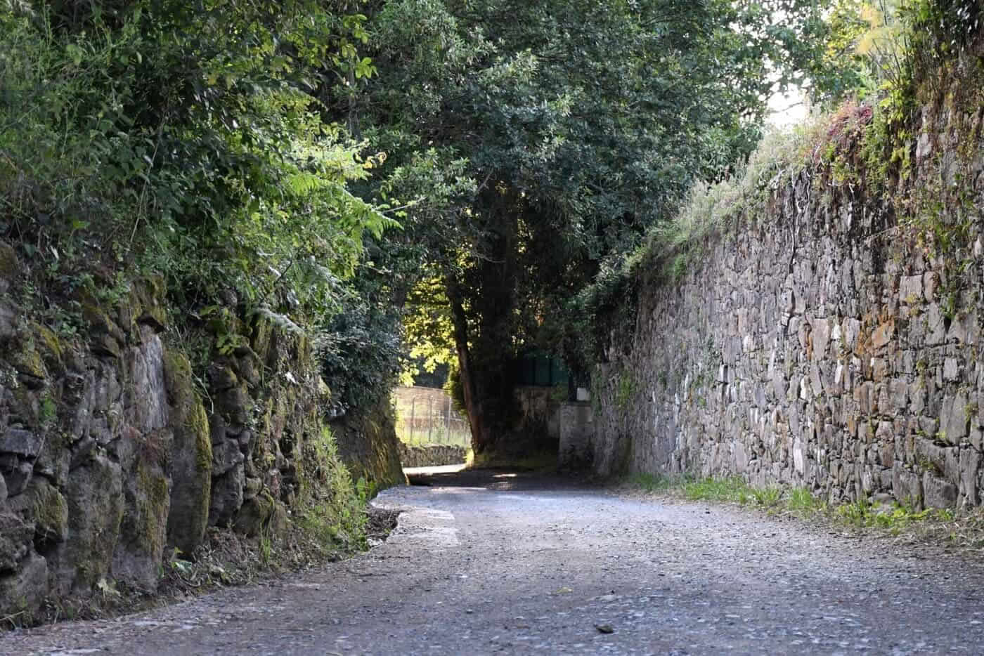 Portugese Camino de Santiago vanaf Tui in 5 etappes, comfortklasse