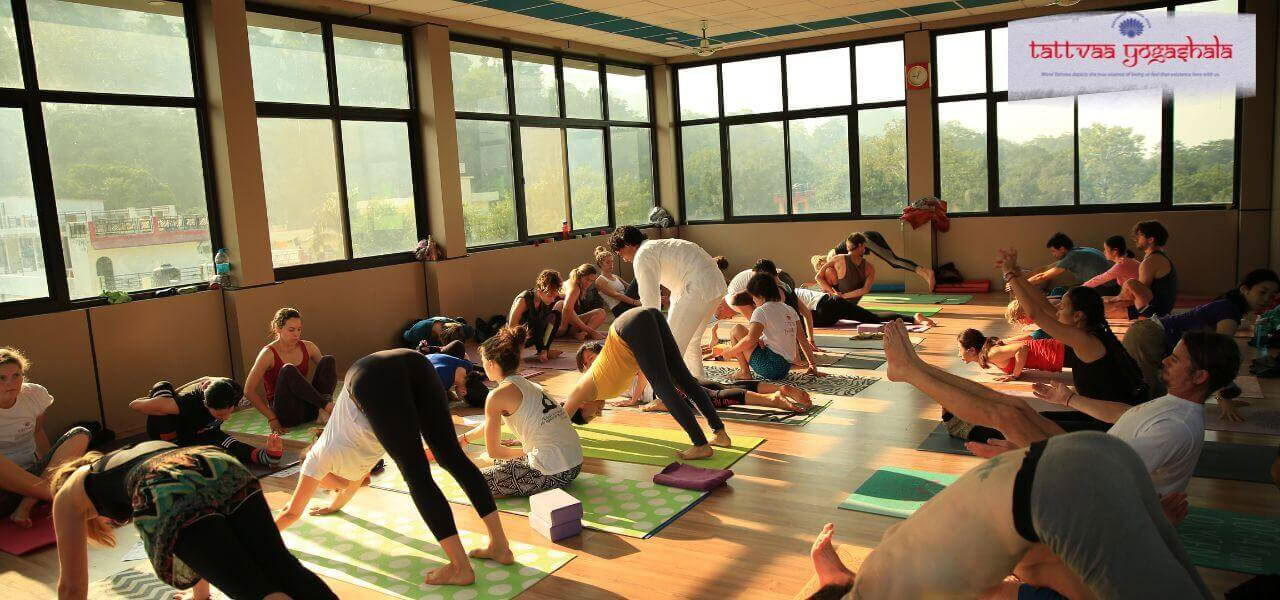 500-uurs yogadocentenopleiding Rishikesh