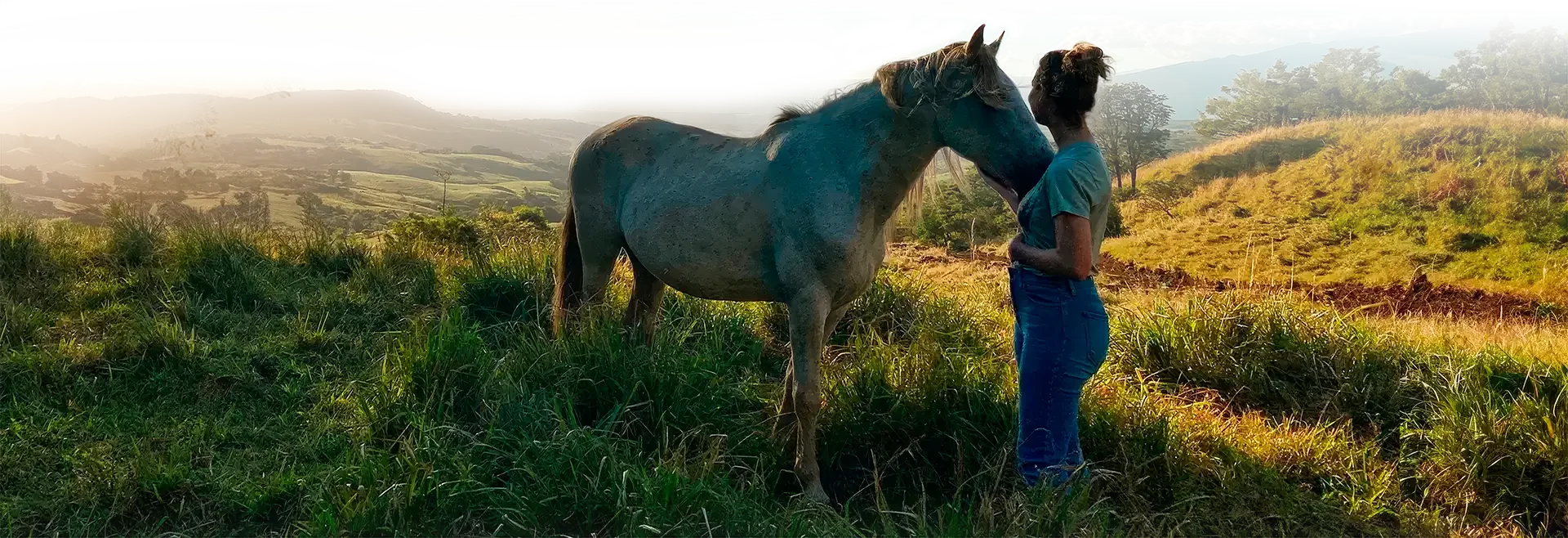 Wild van Binnen