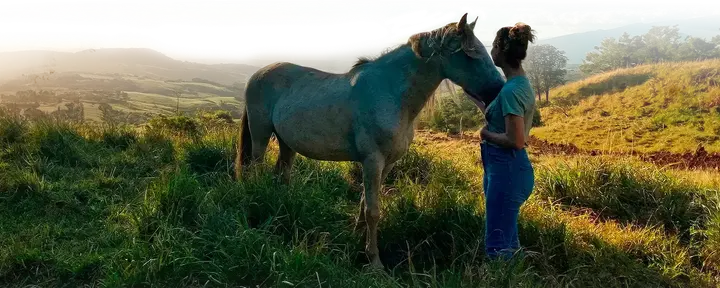 Hartfrequentiegenezing met paarden