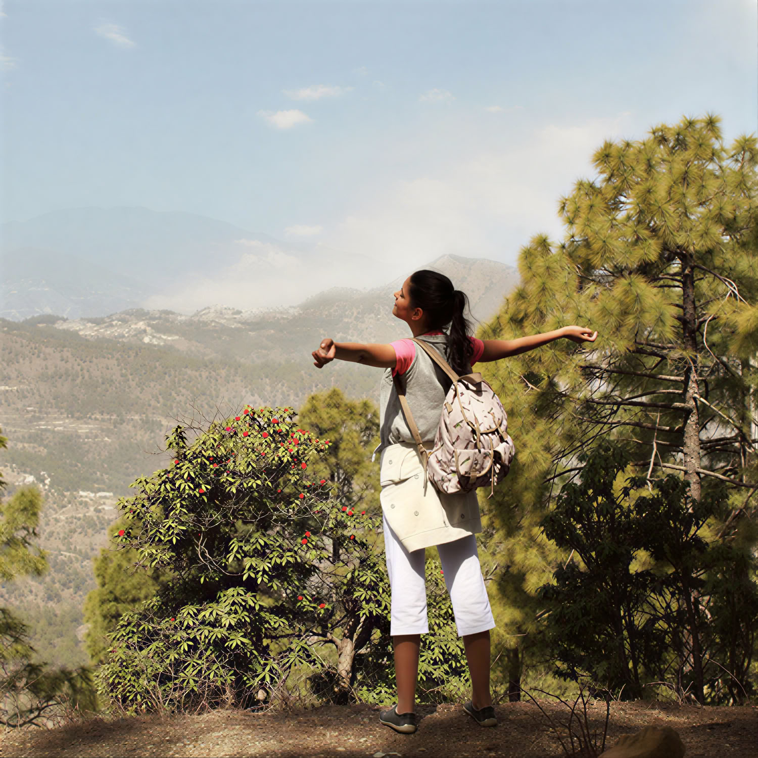 Ananda in de Himalaya