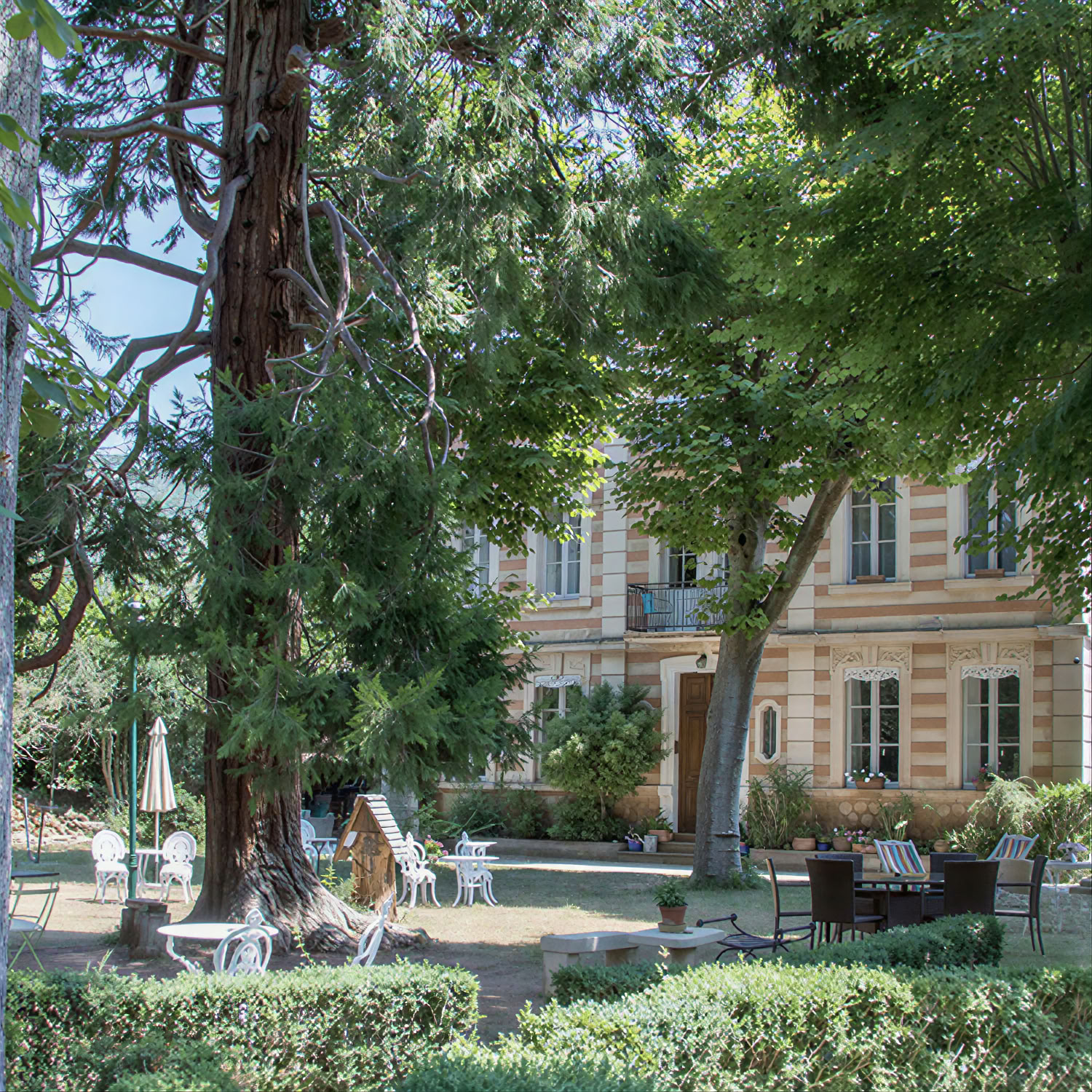 Les Marguerites
