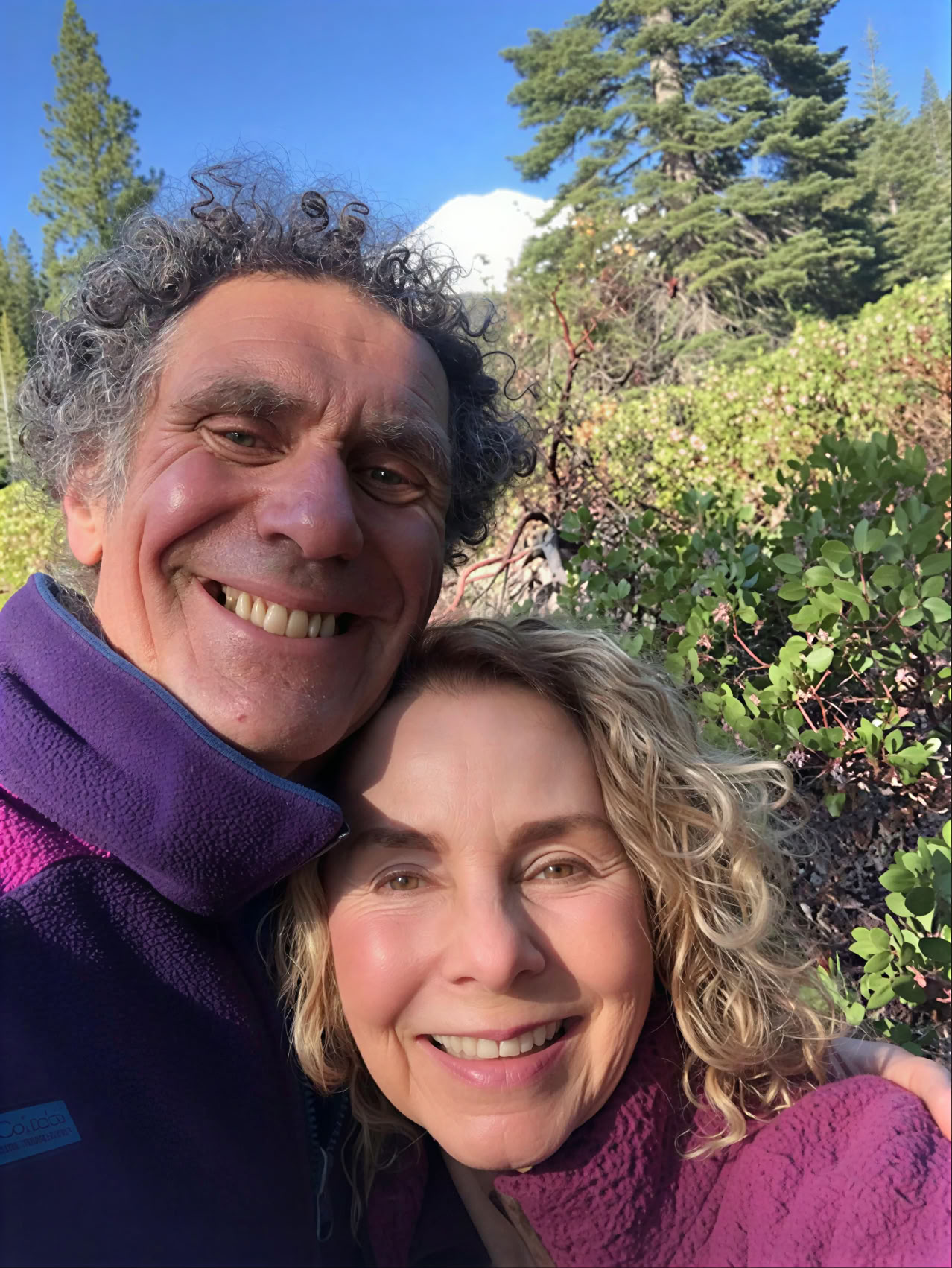 Premium Mount Shasta-retreats
