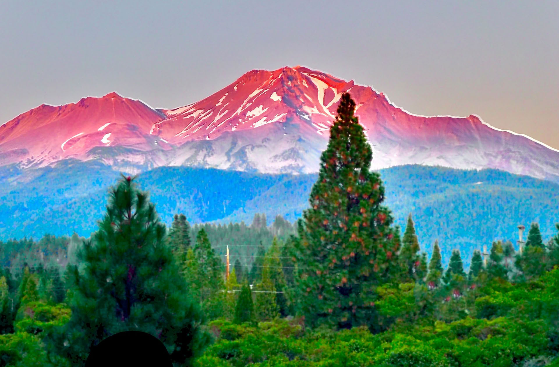 Zomerse Zonnewendetour - Heilige Reis op Mount Shasta