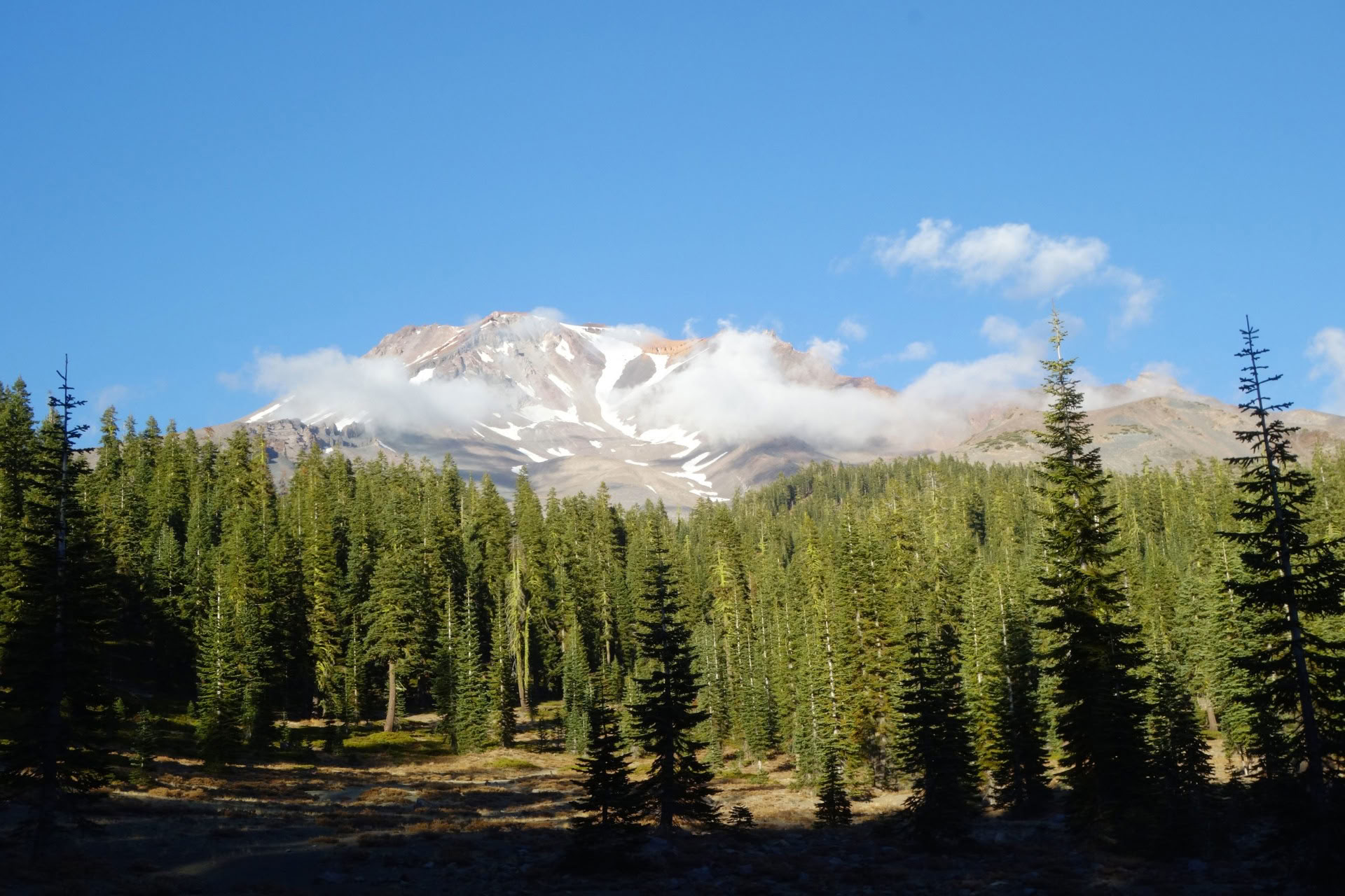 Zomerse Zonnewendetour - Heilige Reis op Mount Shasta