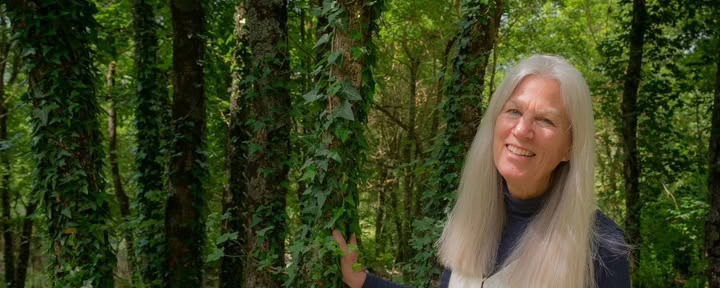 Kate Hawley - Reiki voor integratie