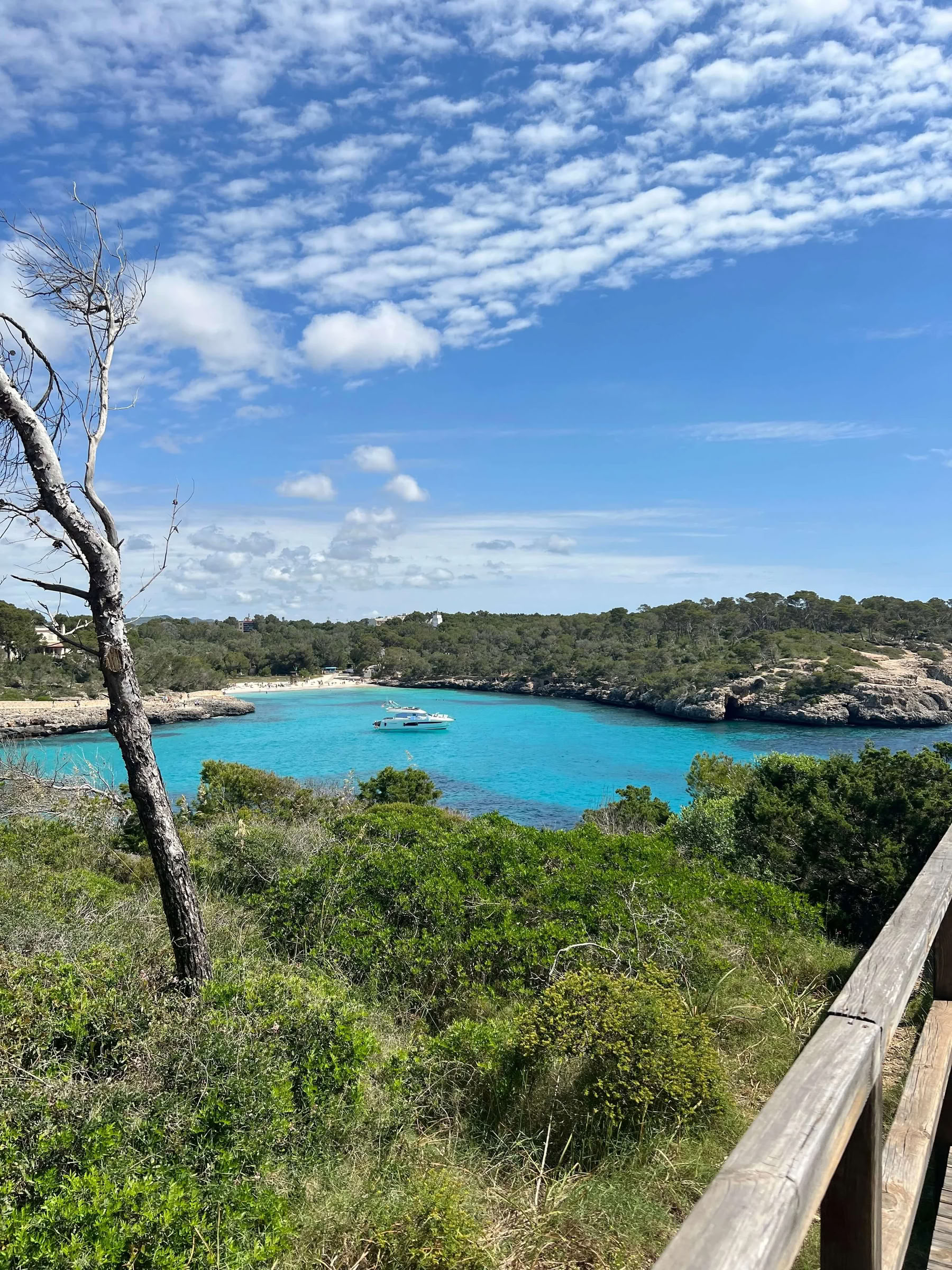 Luxe yogaretreat in Cal Reiet – 1 t/m 5 september 2026