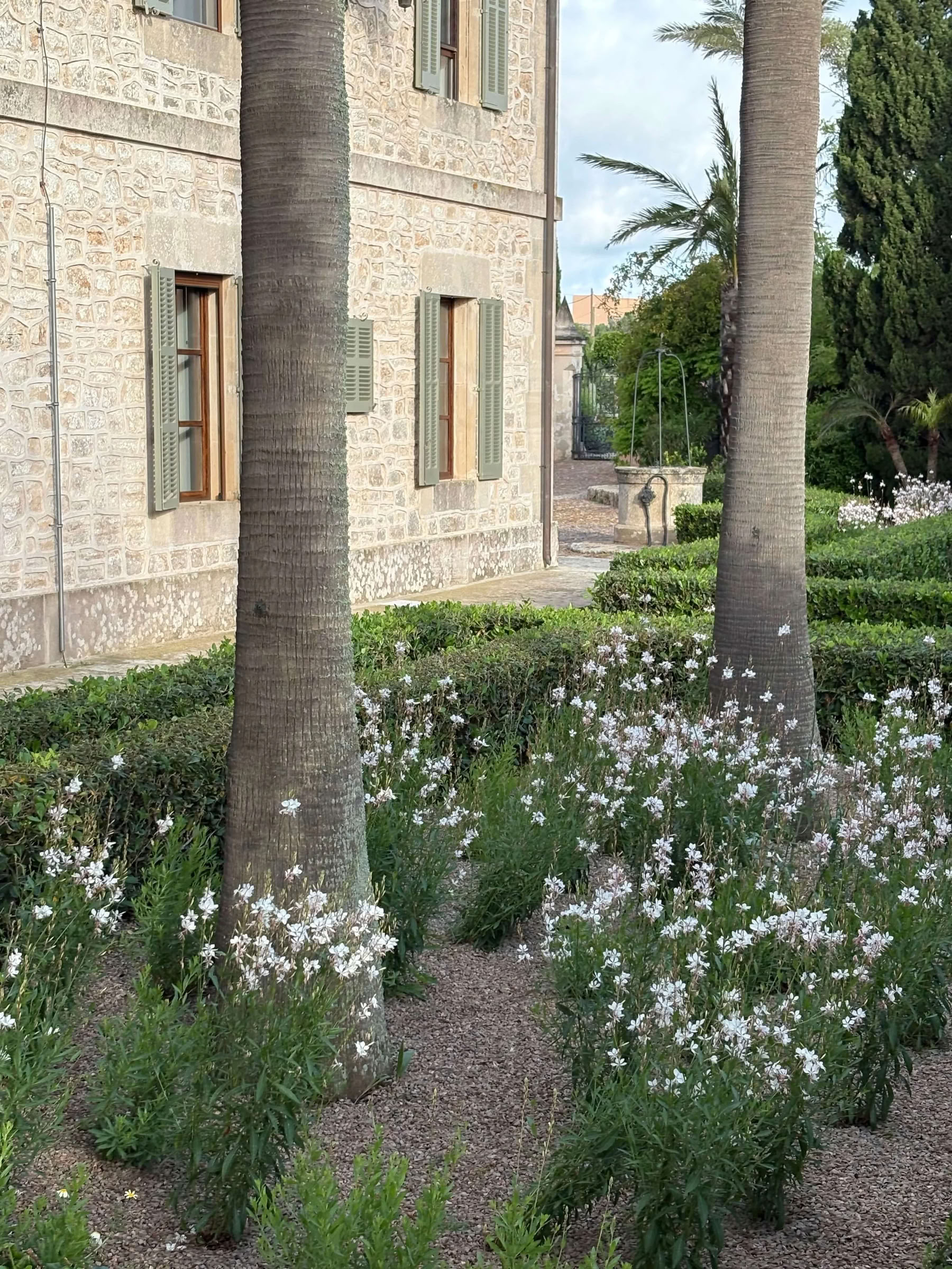 Luxe yogaretreat in Cal Reiet – 1 t/m 5 september 2026