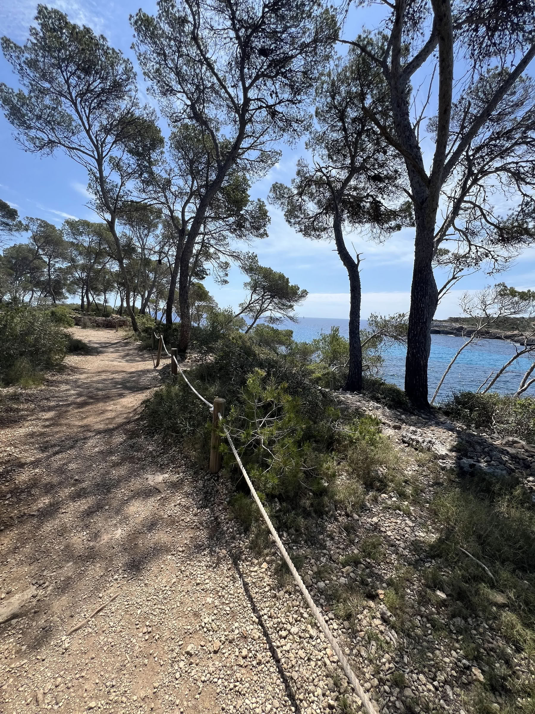 Luxe yogaretreat in Cal Reiet – 1 t/m 5 september 2026