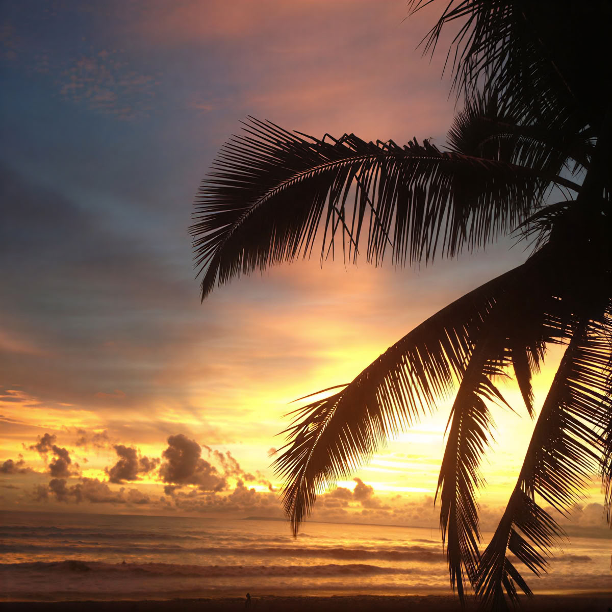 Retraite aan Jaco Beach, Costa Rica
