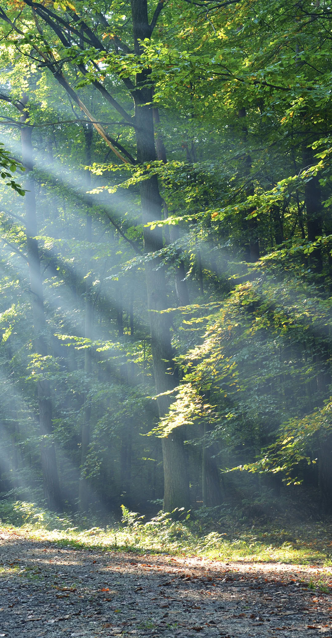Aardevrouw Naakt Yoga- en Meditatieretraite