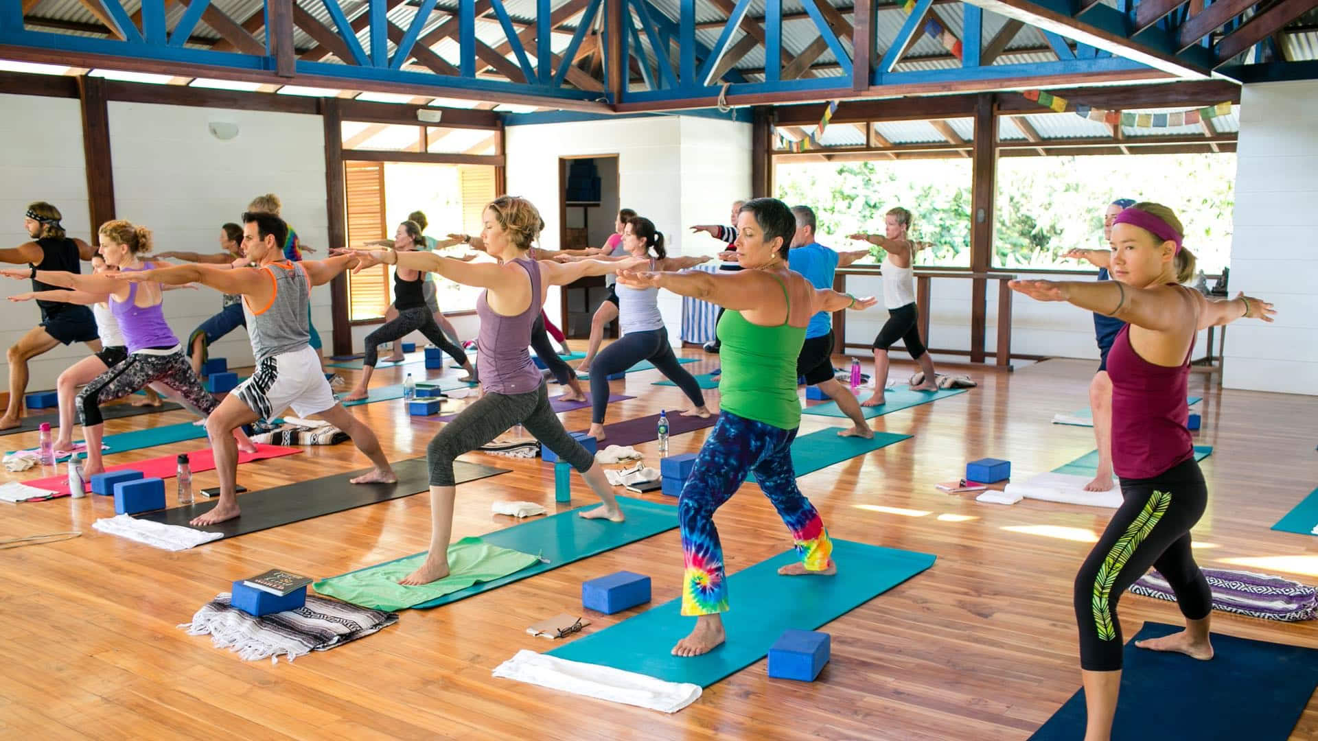 Zachte Wijsheid: Yoga- en Meditatie-retraite in Costa Rica in 2027