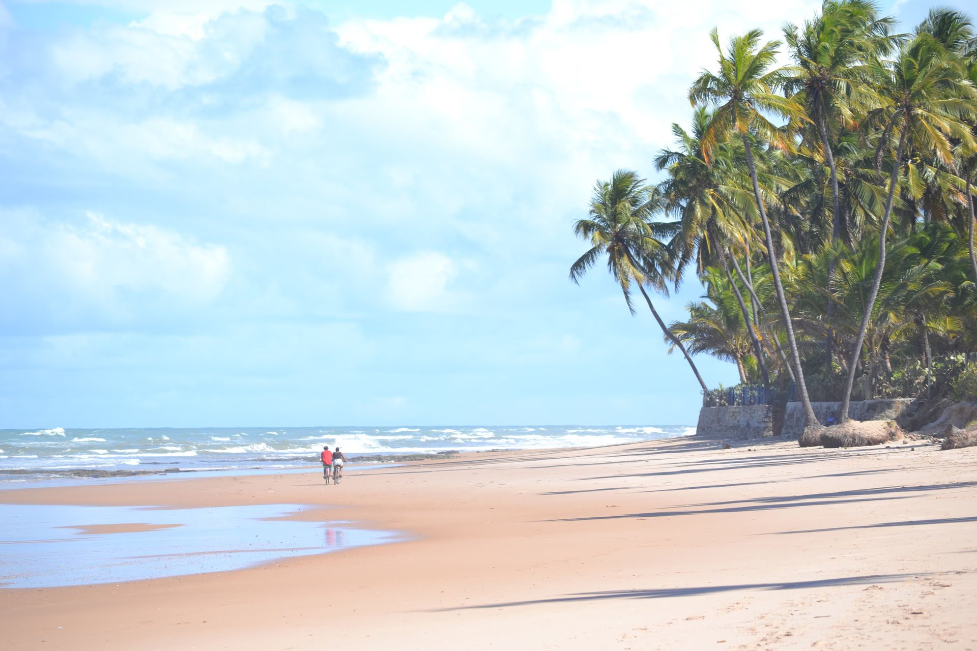 Surfkamp Bahia Brazilië
