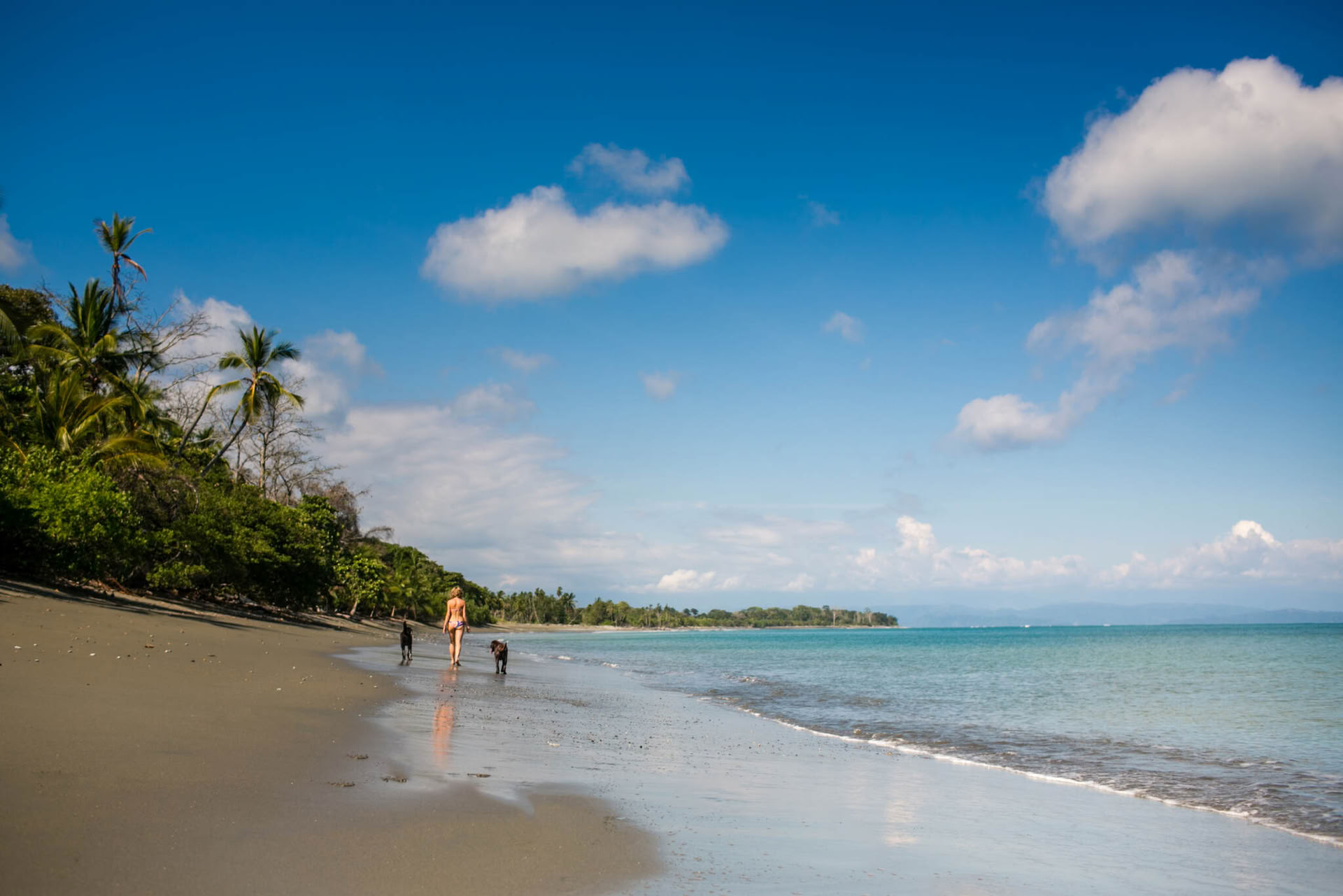 Nieuwjaarsyoga-retreat: Vernieuw je geest in Costa Rica