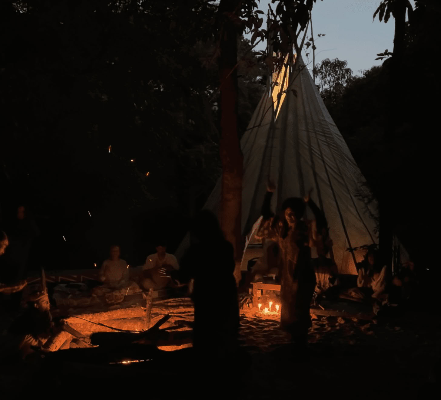 3-daagse ayahuasca