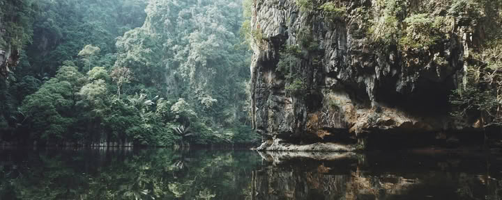 11-daagse ayahuasca-retraite