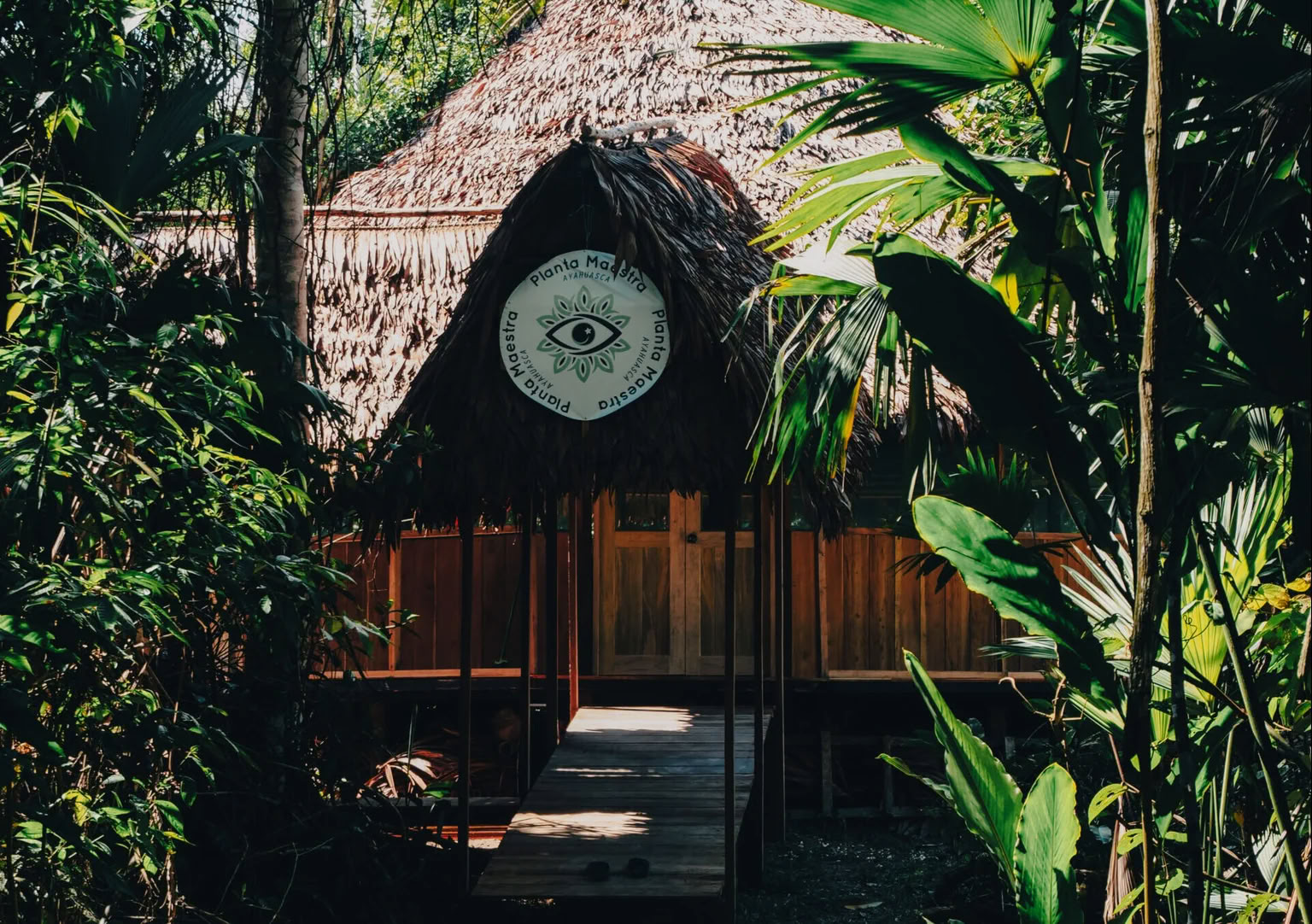 7-daagse ayahuasca-initiatie