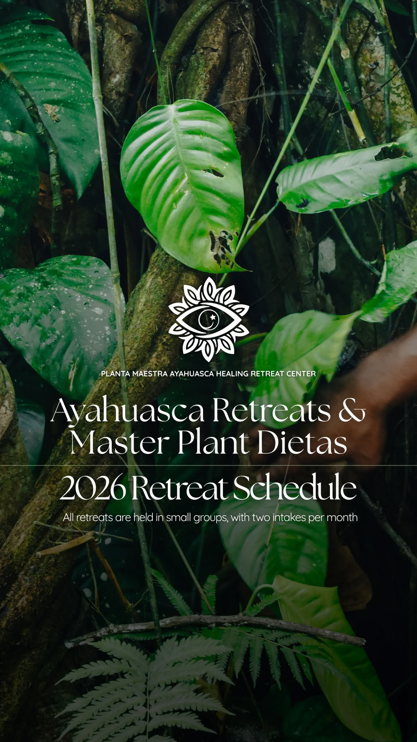 10-daagse ayahuasca-reis + meesterplant-diëta