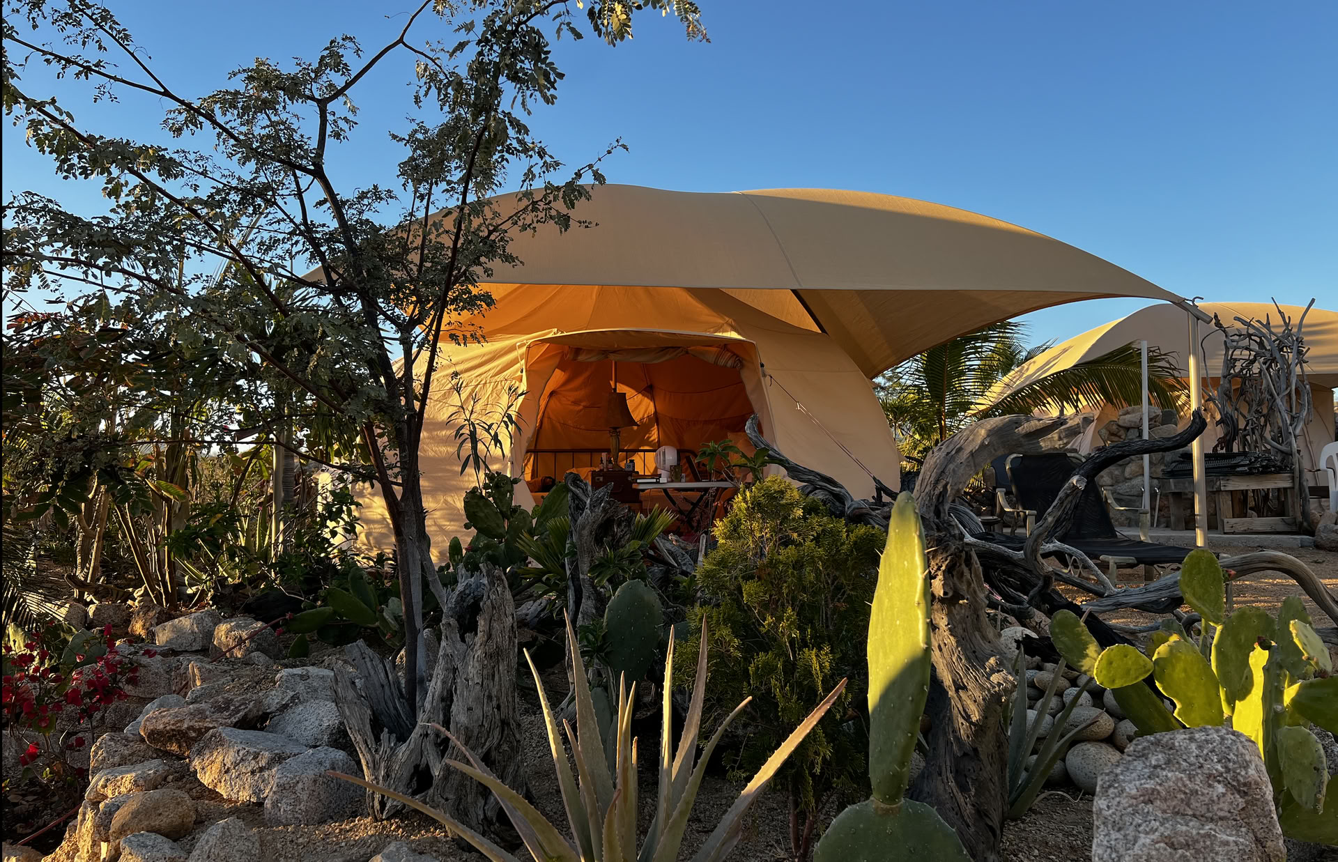 Ruim je chaos op