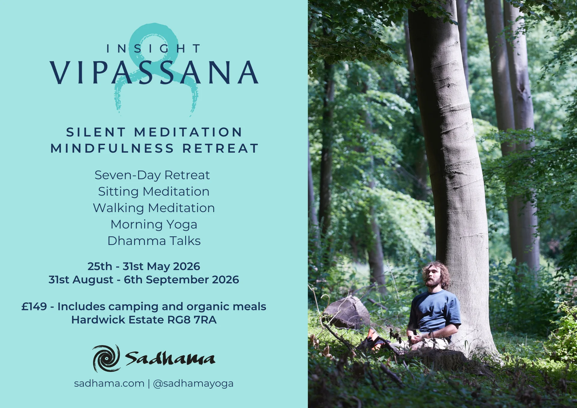 Vipassana-inzicht