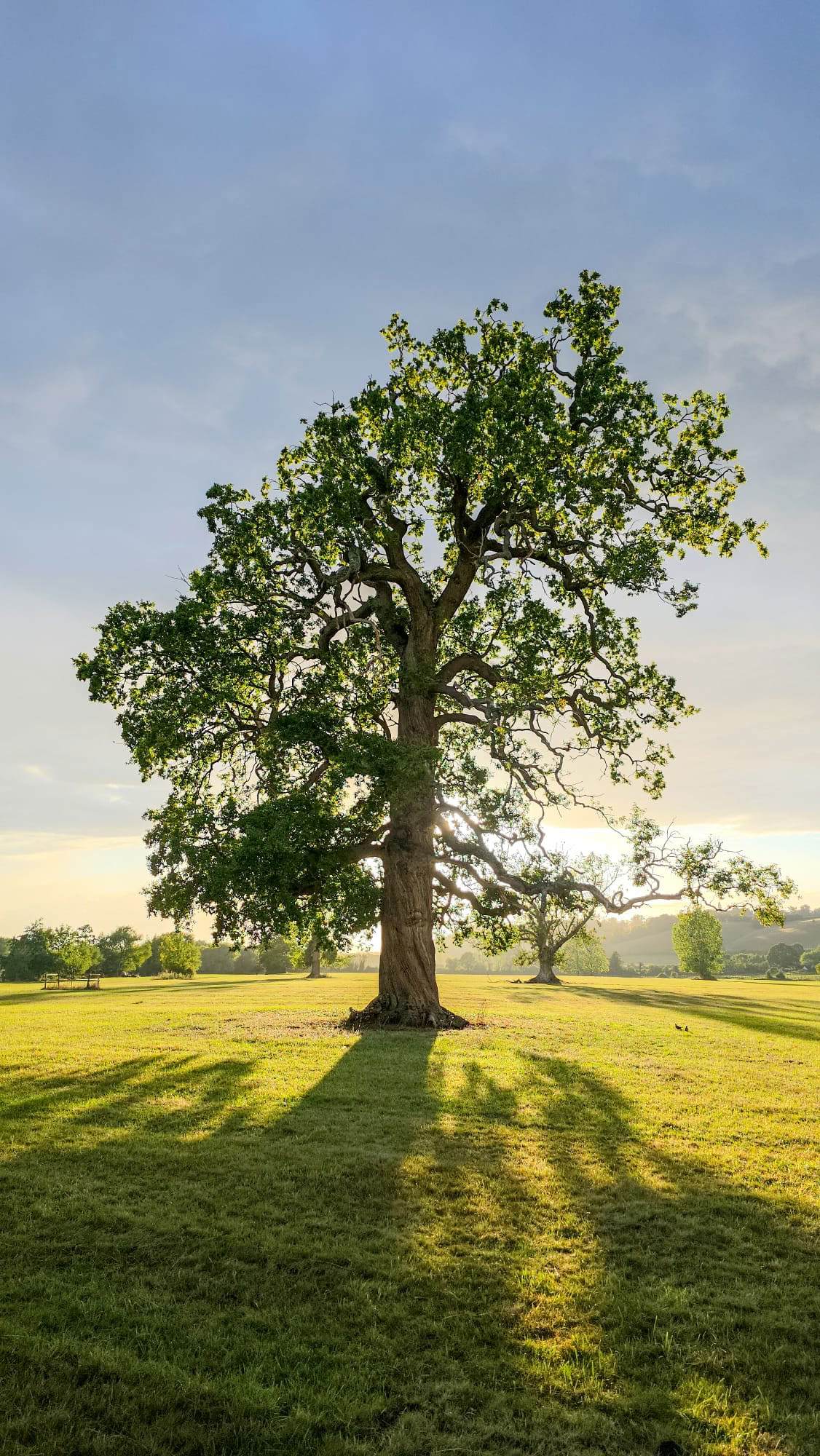 Vipassana-inzichtmeditatieretraite – 31 aug – 6 sep