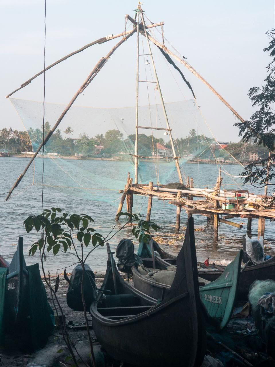 Ultieme Ayurvedische Detox | Een reis van genezing en vernieuwing in Kerala