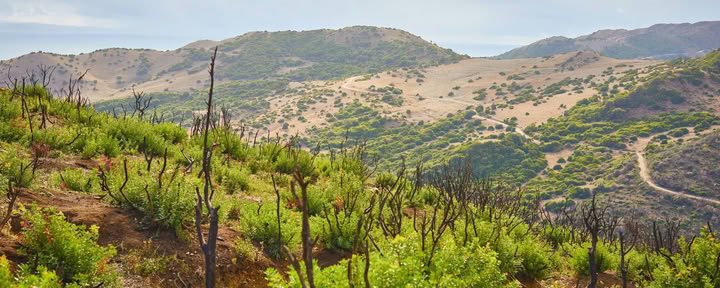 Keniaanse yoga- en safariretreatkamers