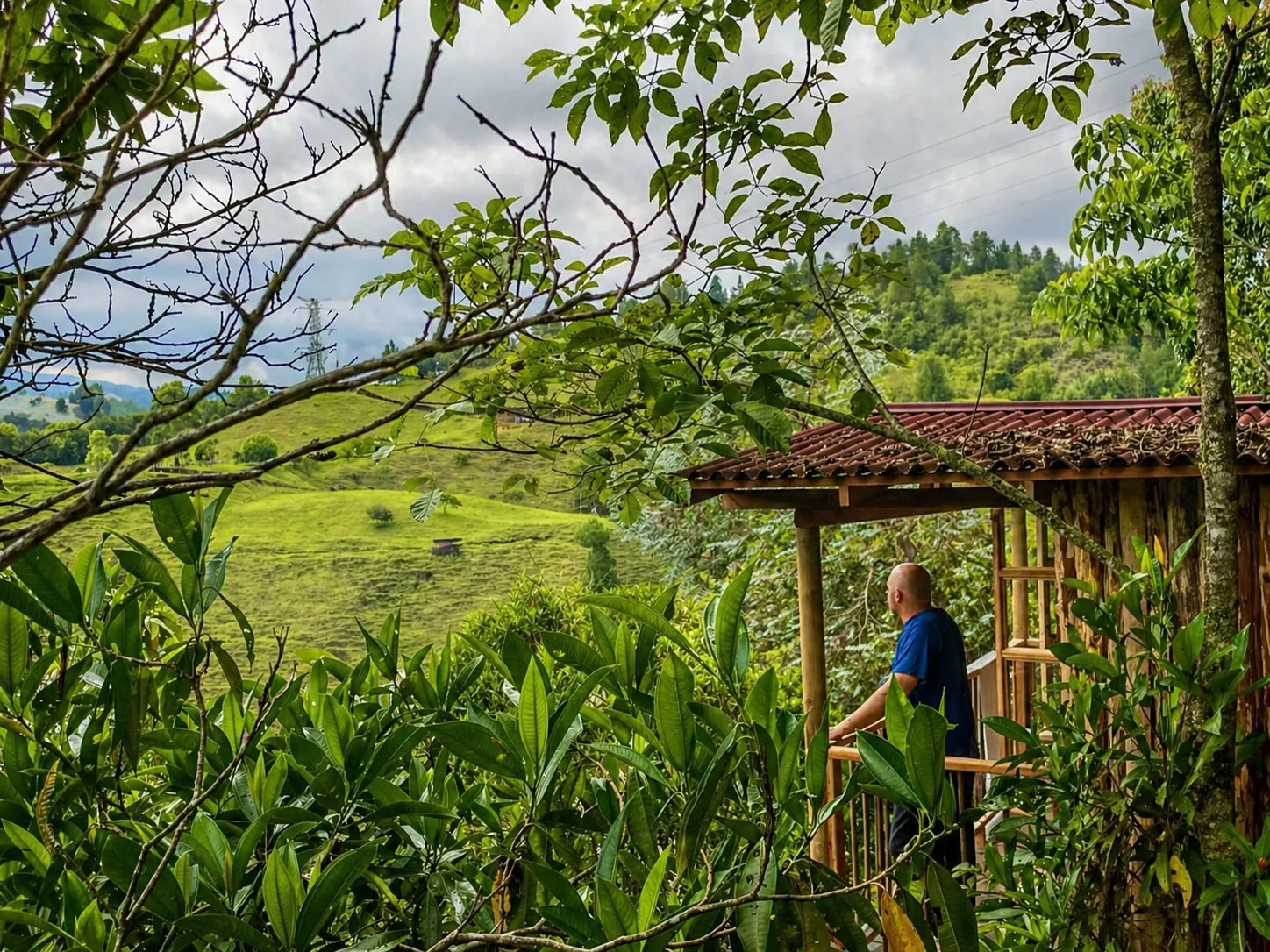 Ayahuasca-retraite voor vrouwen in Colombia