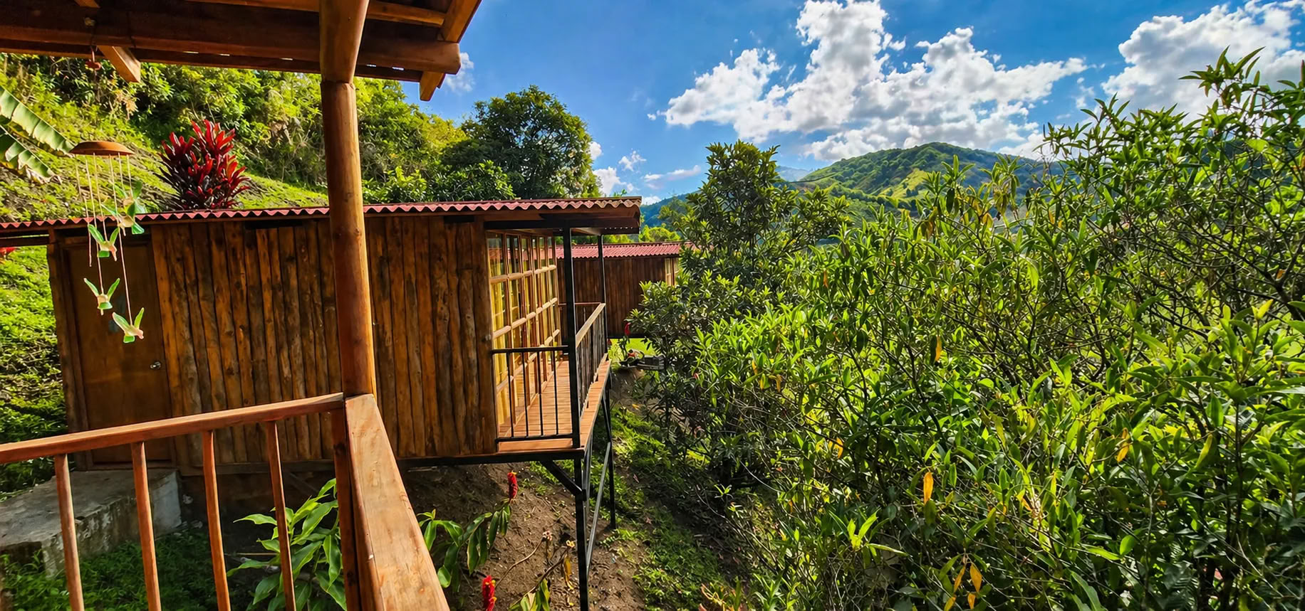 Ayahuasca-retraite in Medellín in oktober 2026