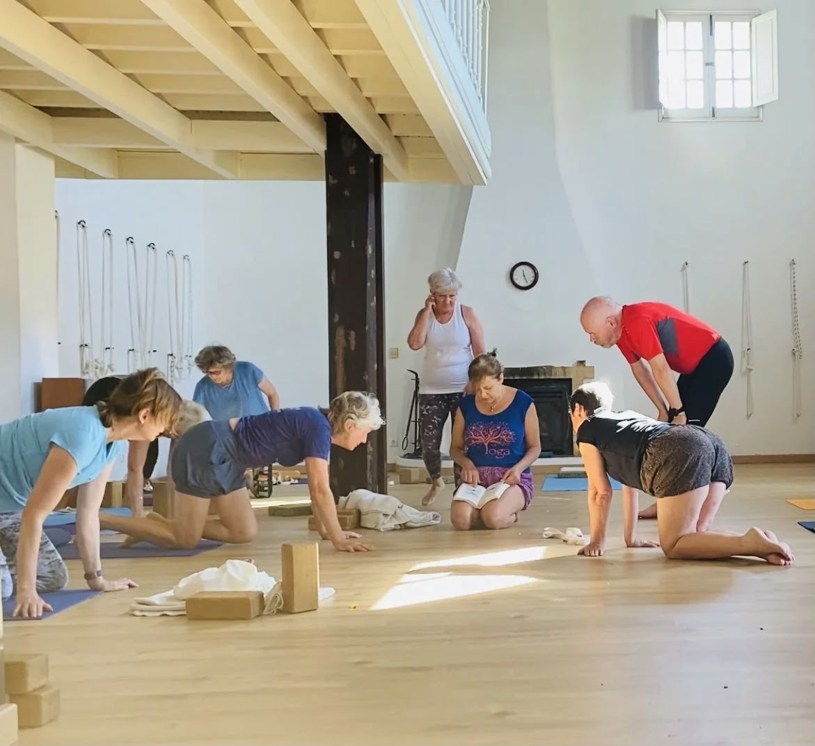 Geavanceerde studies / docententraining-workshops