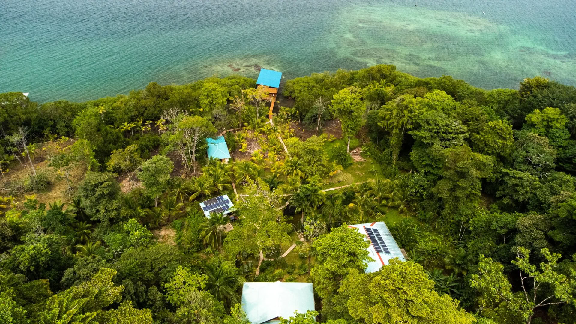 Groeien en Bloeien: een Roam Yoga & Wellness Retreat