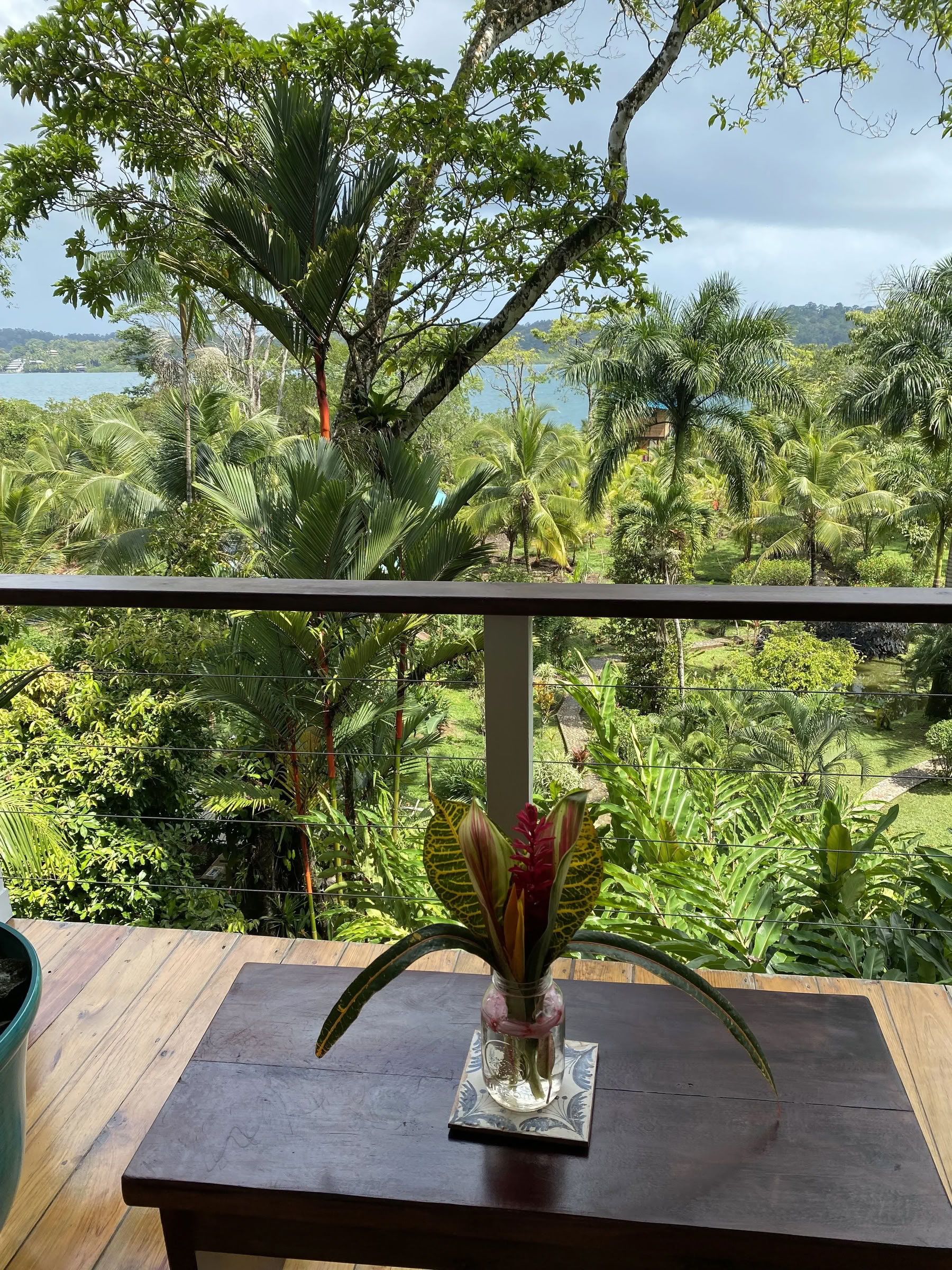 Groeien en Bloeien: een Roam Yoga & Wellness Retreat