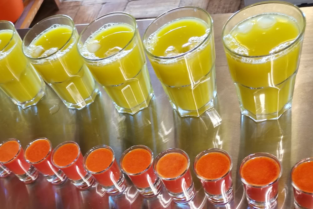 Sapdetox, yoga- en wellnessretraite – 17 okt 2026 - 27 okt 2026