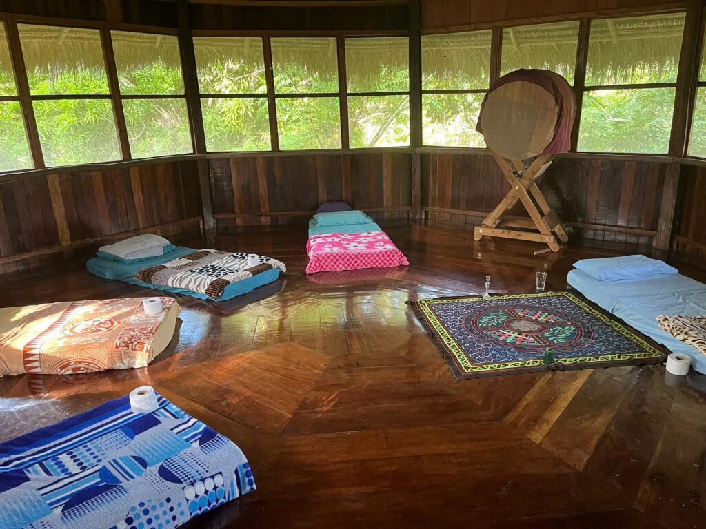21-daagse ayahuasca-marathon – 23 nov. - 12 dec.