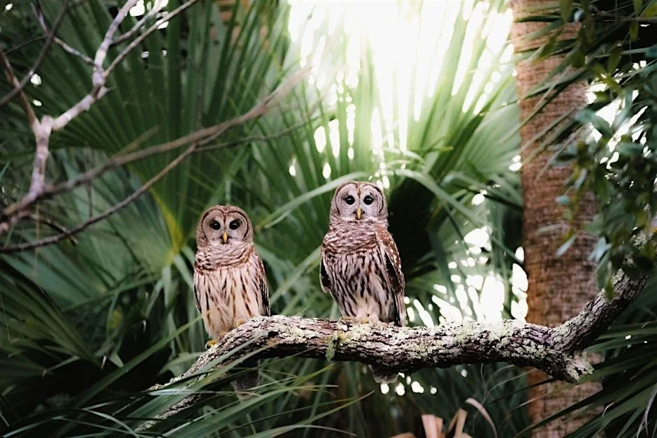 Natuur-ecotour