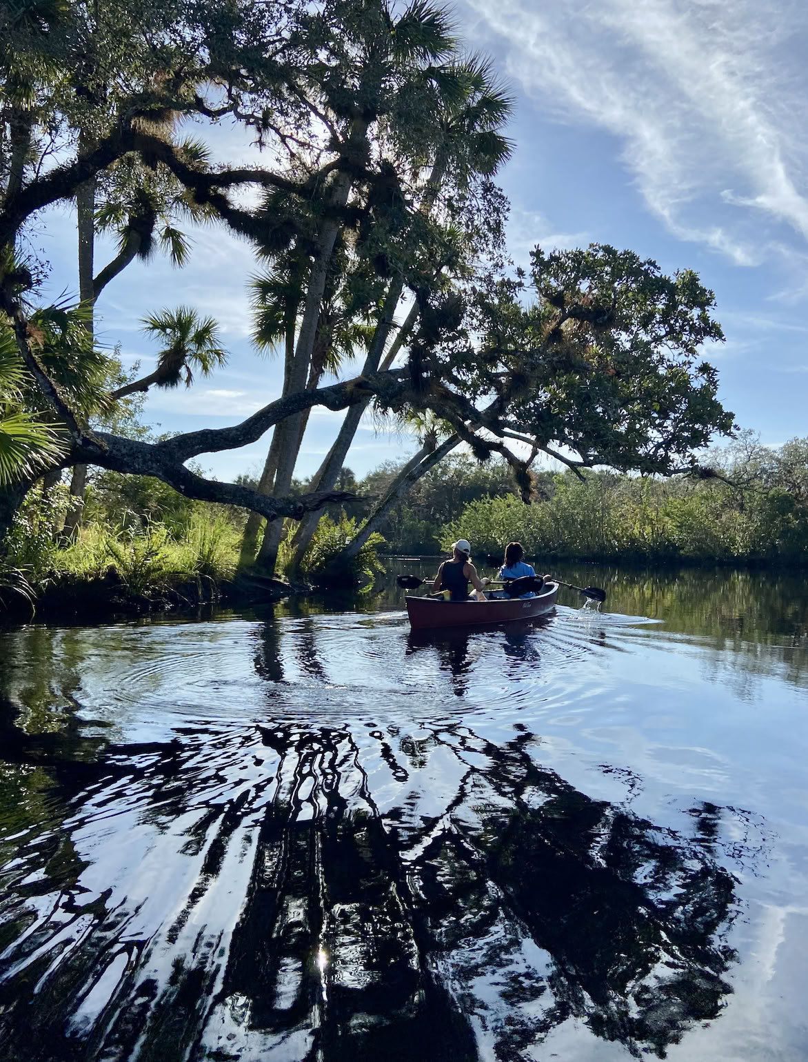 Wild Florida Familie Lenteretraite