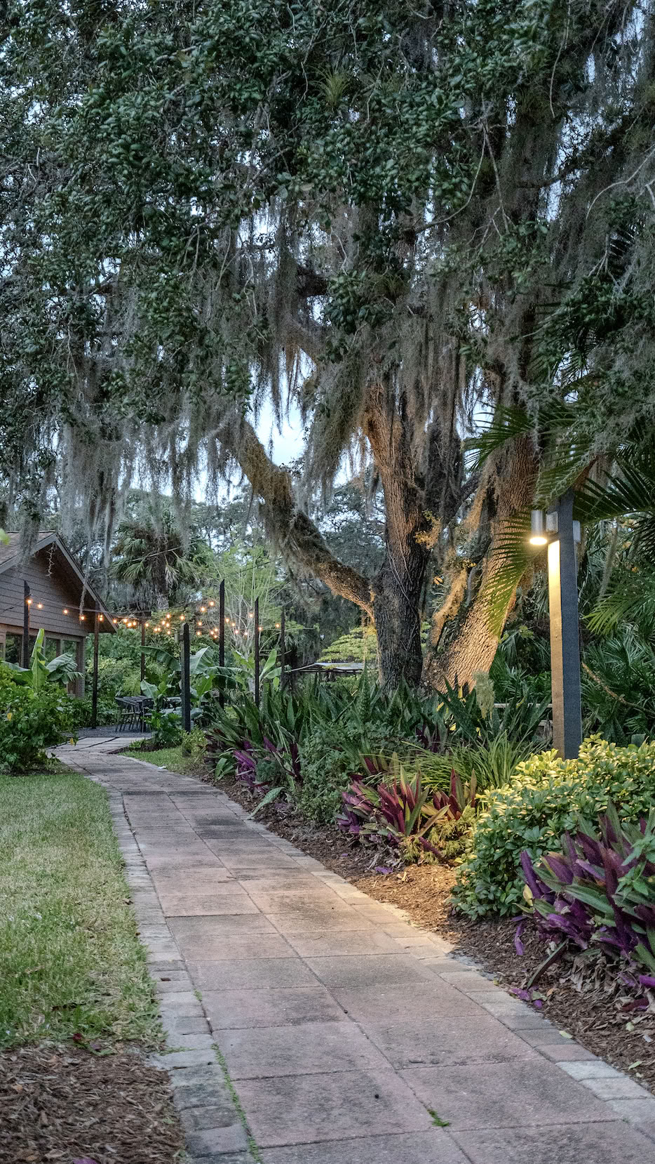 Wild Florida Familie Lenteretraite