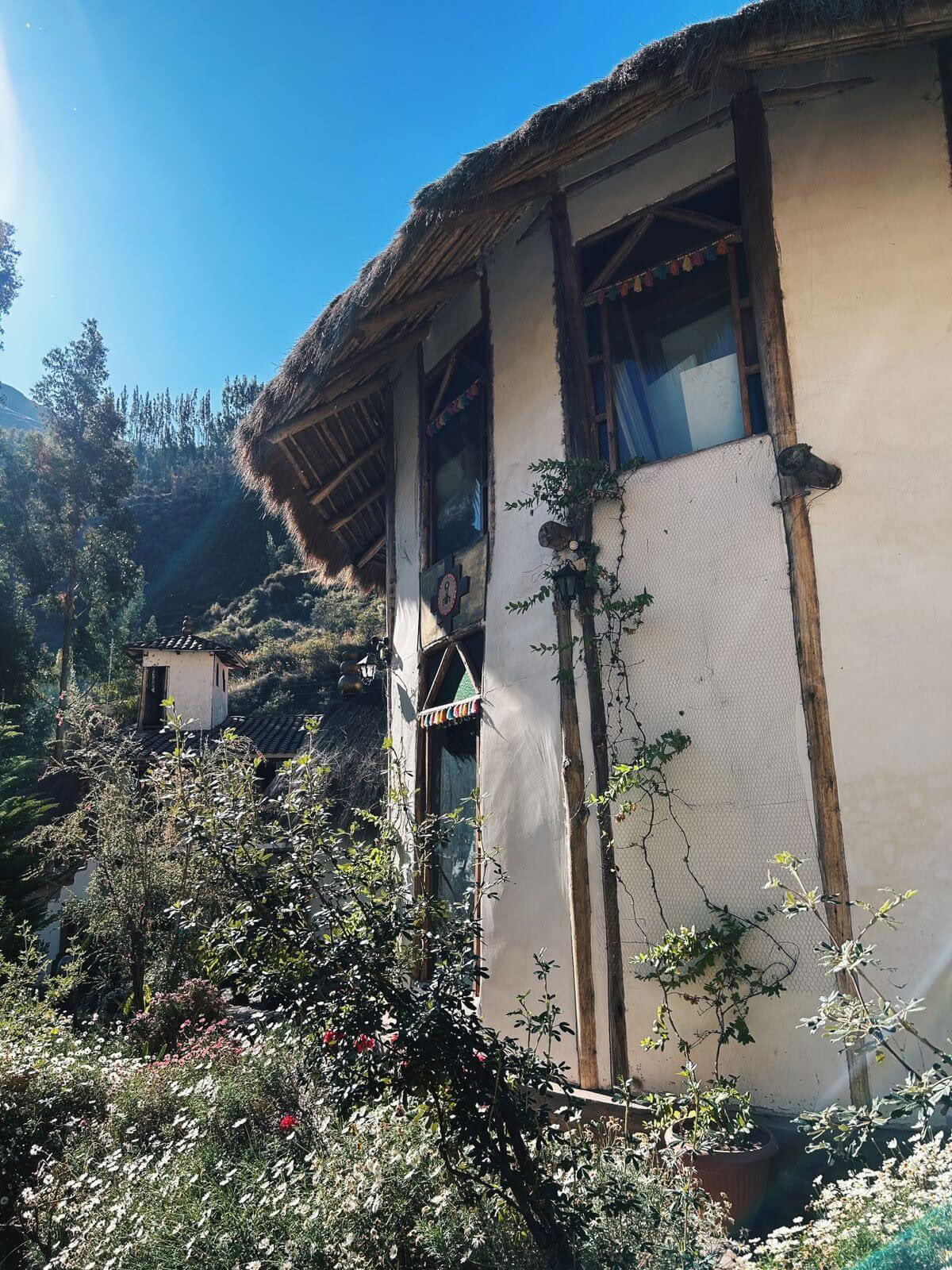 Privé ayahuasca-retreat met Andespuelen (3 dagen) ayahuasca-ceremonieretreat met Andespuelen (privé, 3 dagen) 2 ayahuasca-sessies