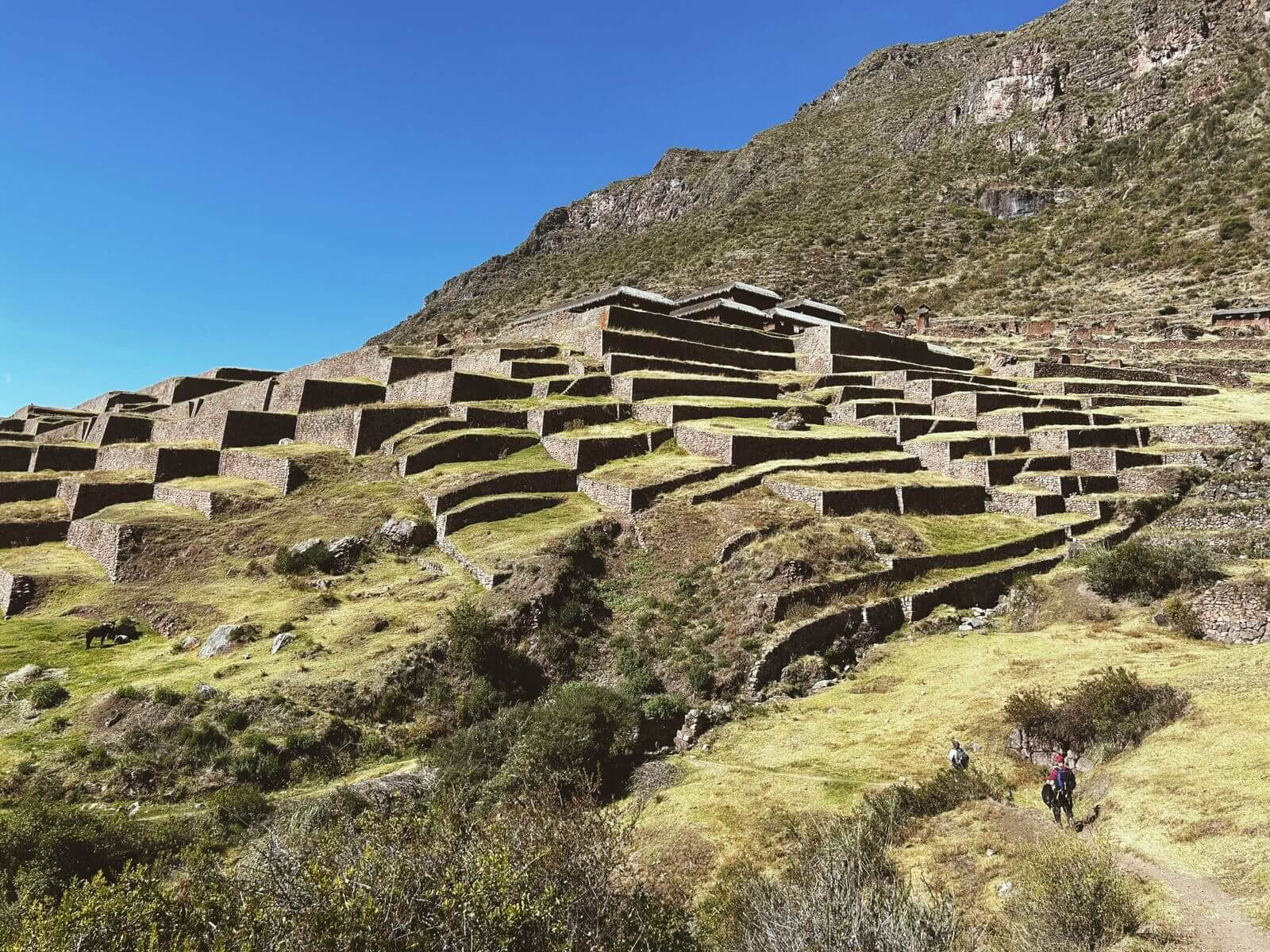 3-daagse spirituele trektocht naar Huchuy Qosqo met San Pedro-medicijn