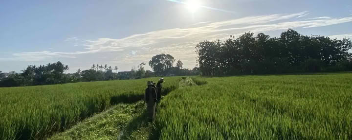 Gratis ochtendwandeling