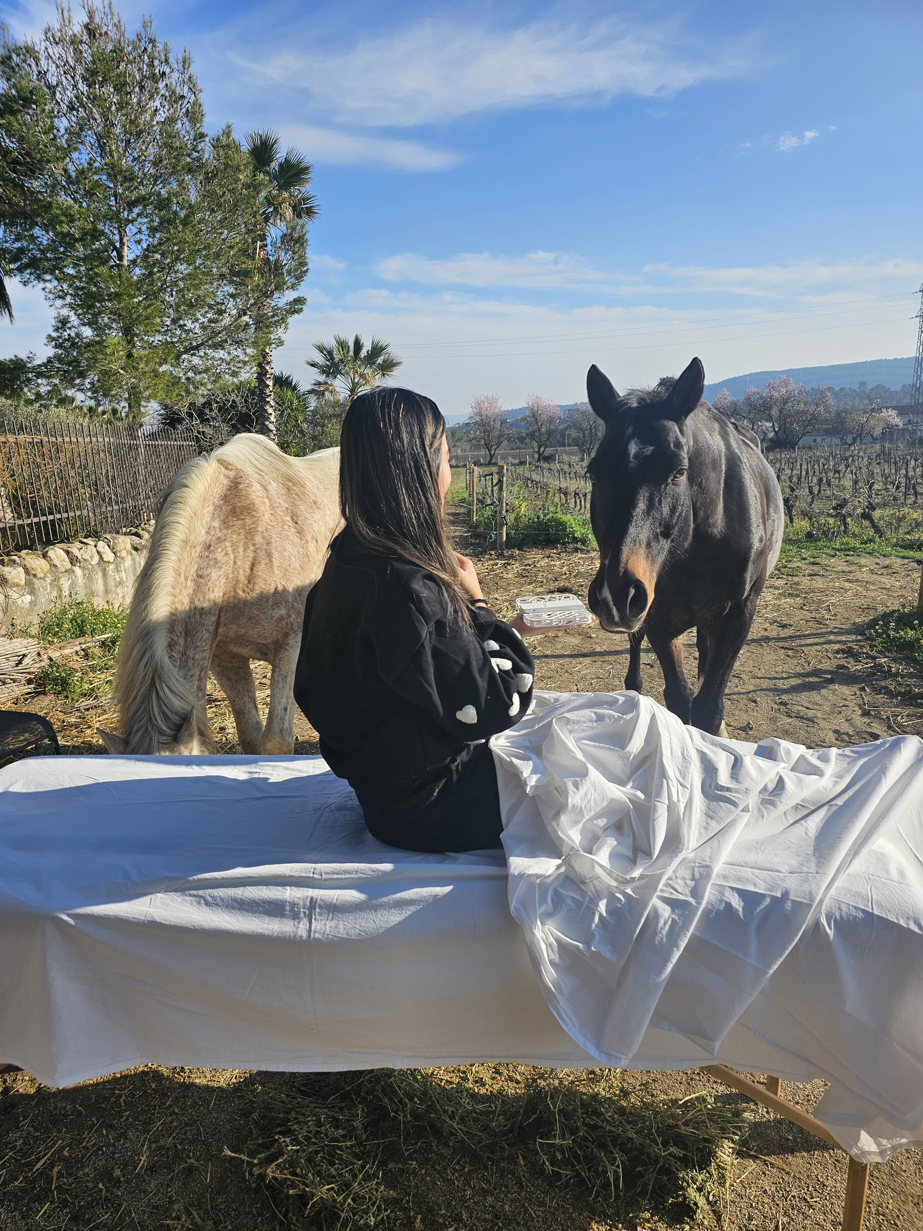Yoga en genezing met paarden: 5-daagse retraite