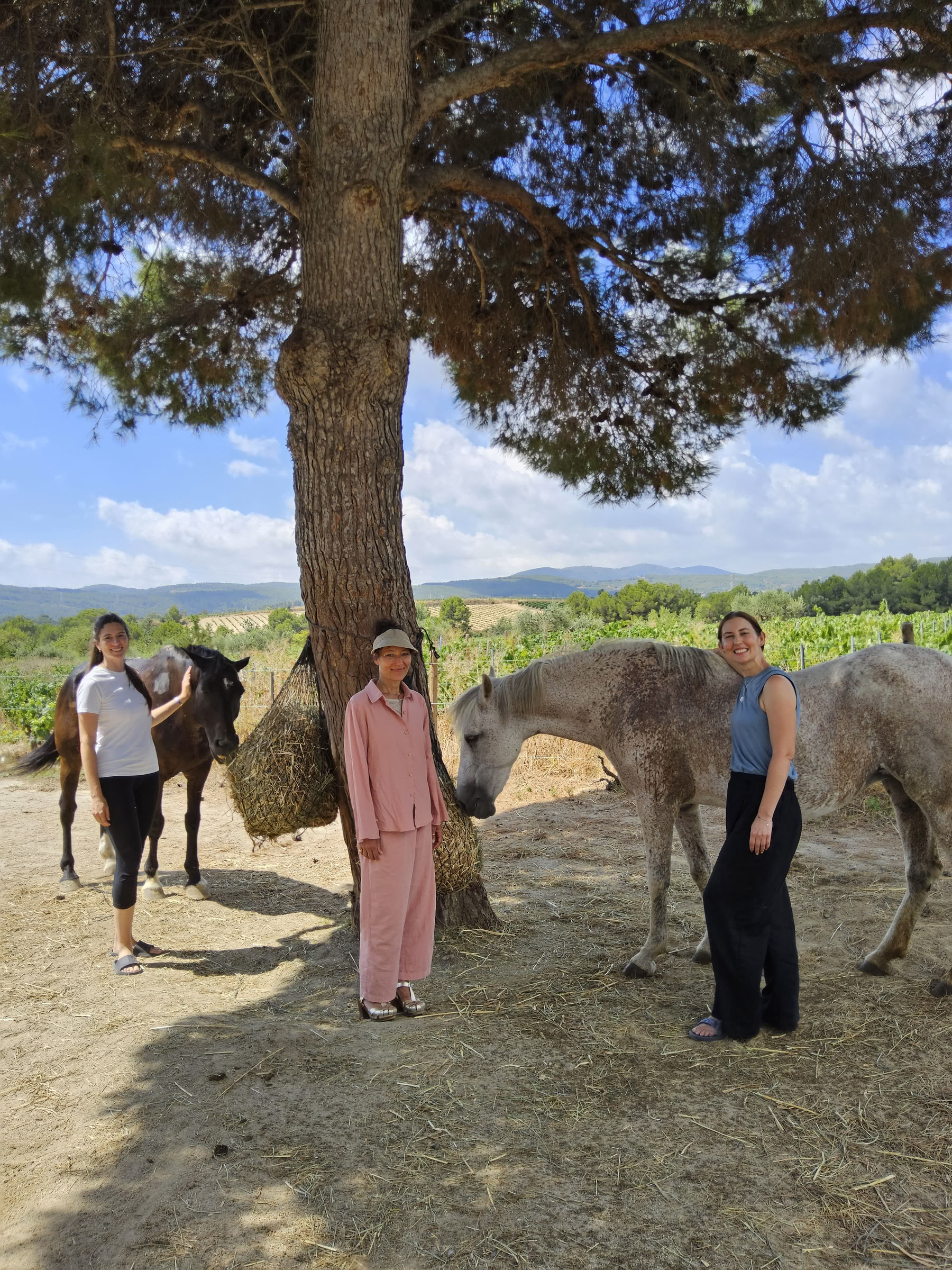 Yoga en genezing met paarden: 5-daagse retraite