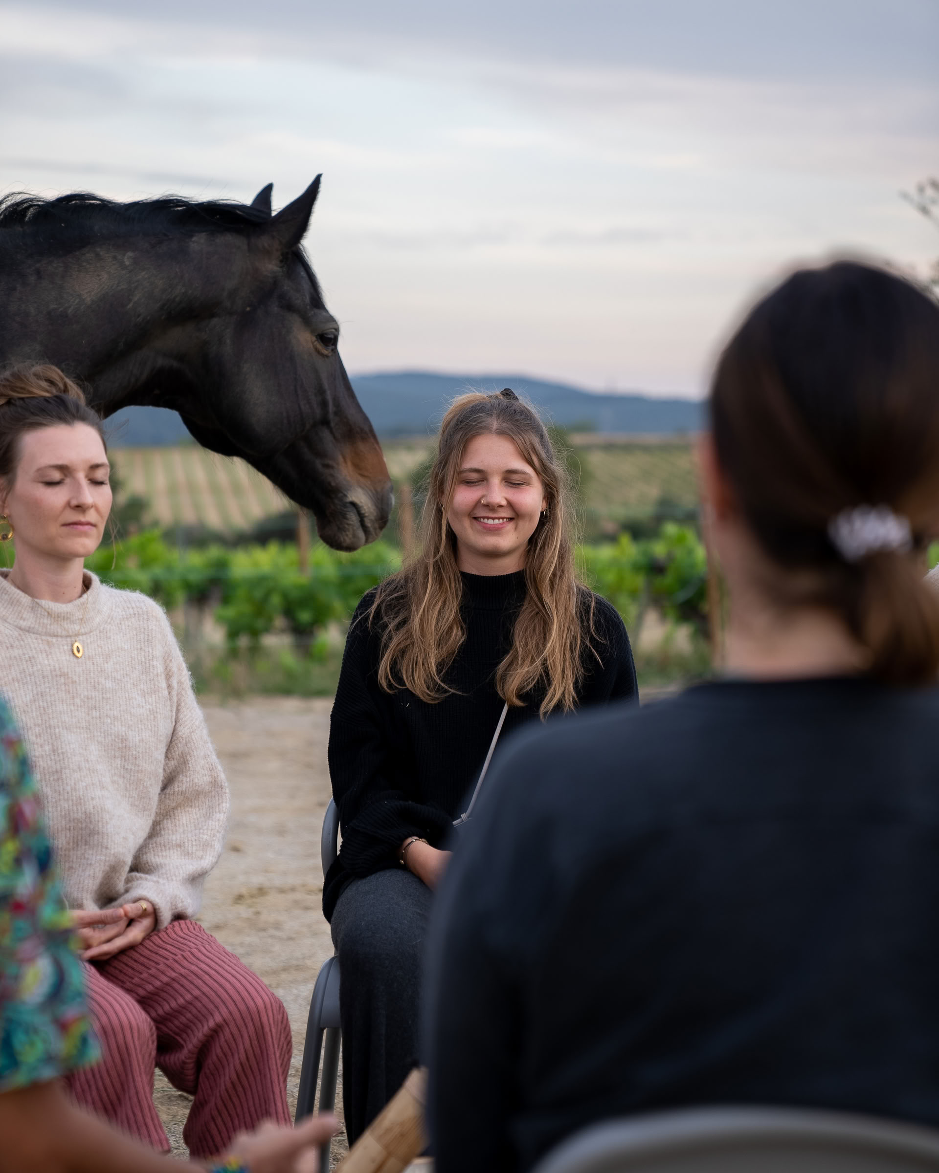 Yoga & Healing met paarden