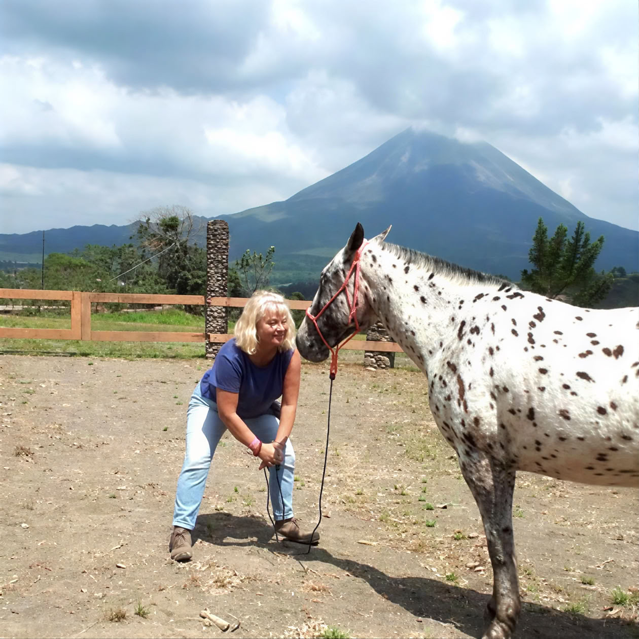 Yoga & Healing met paarden