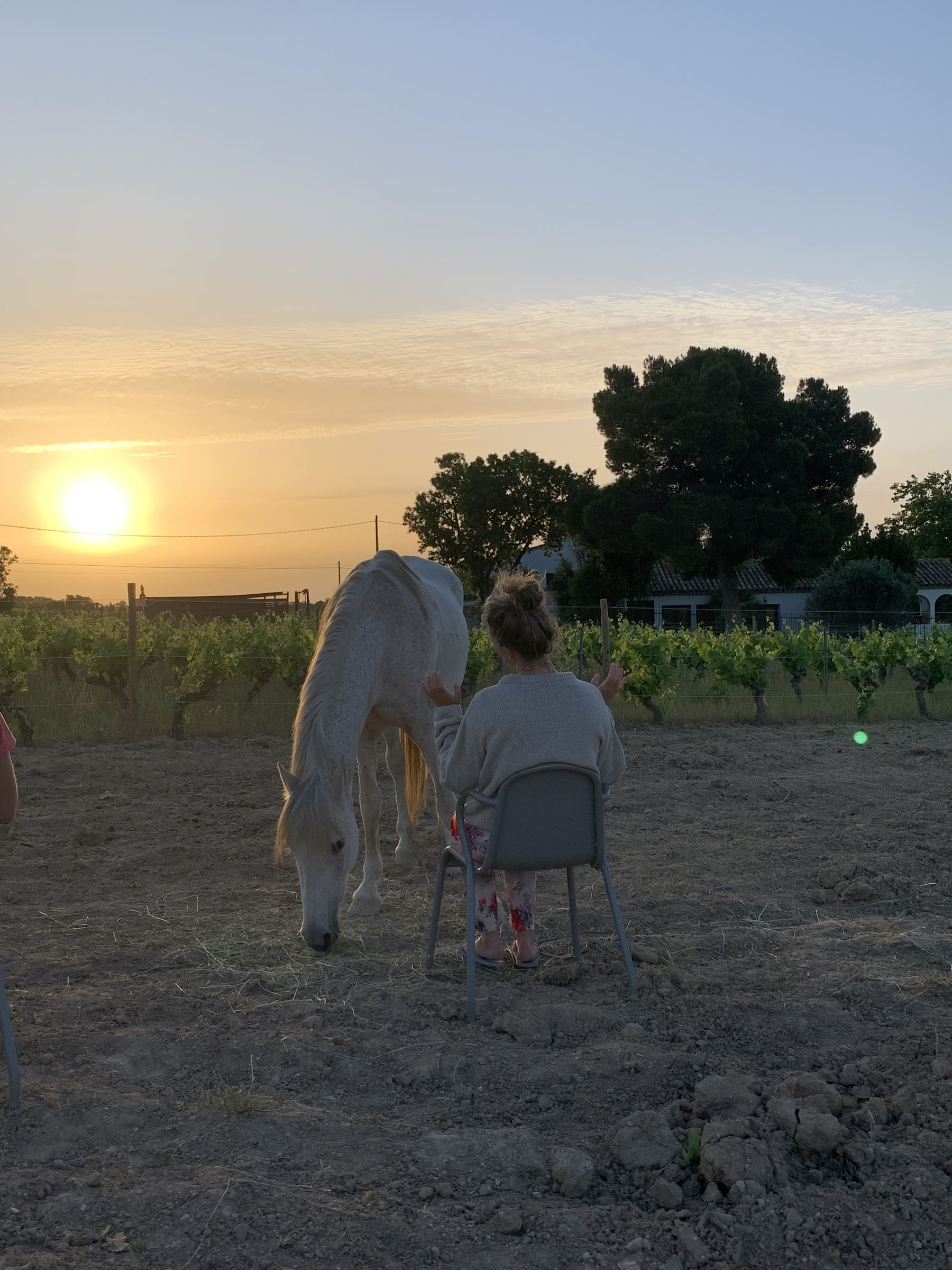 Yoga & Healing met paarden