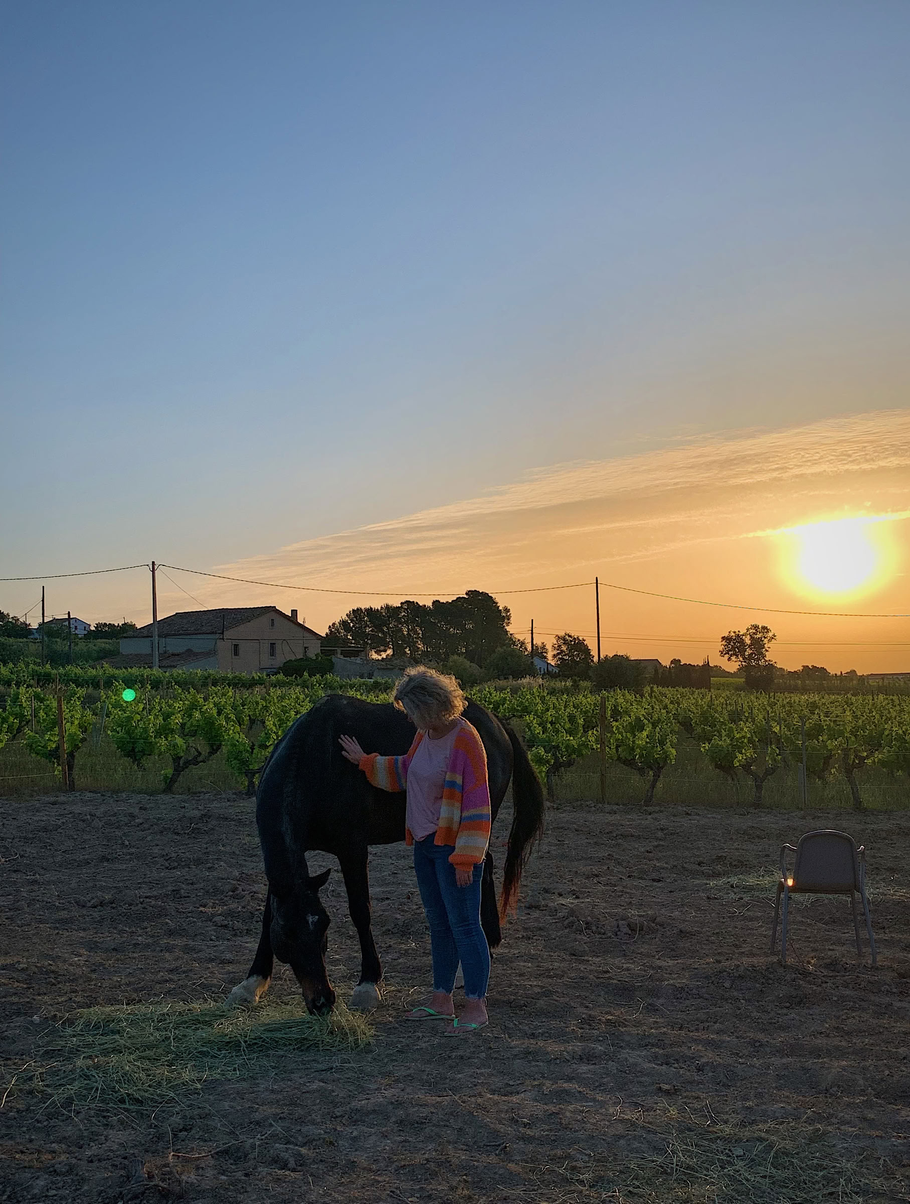 Yoga & Healing met paarden