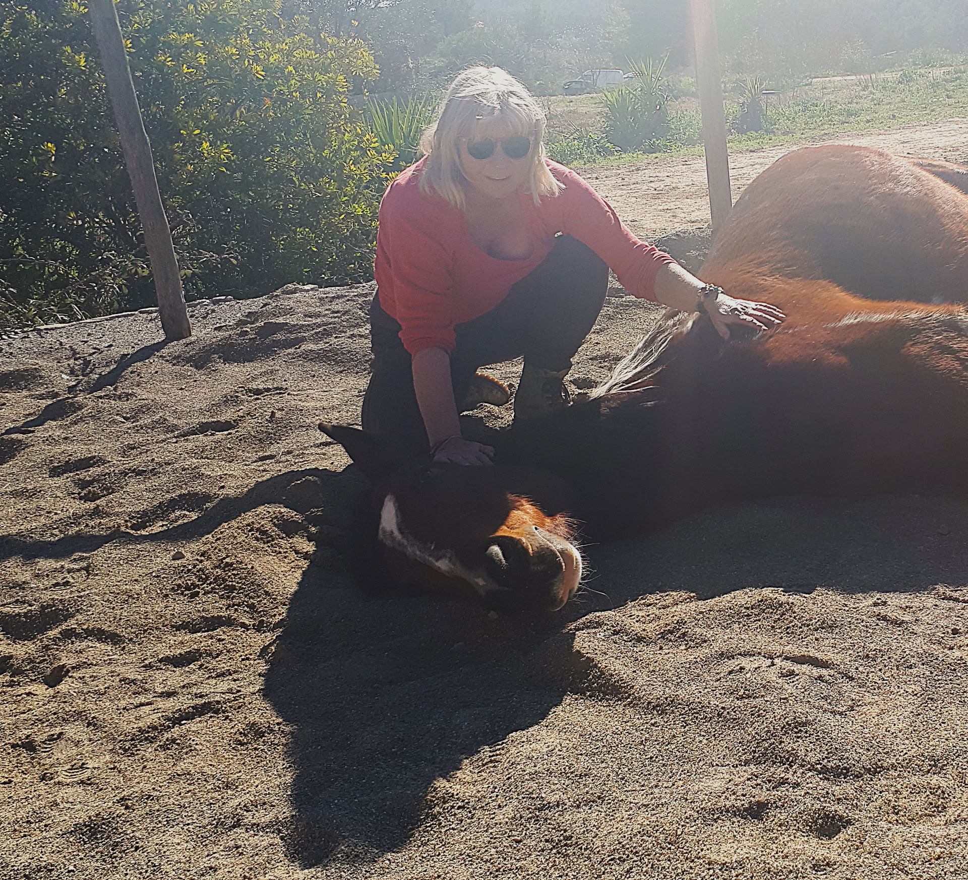 Yoga & Healing met paarden