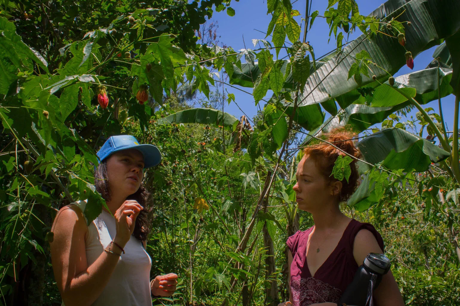 6-daagse yogaretreat in Guatemala – 1-6 september 2026 met Michelle Fajkus